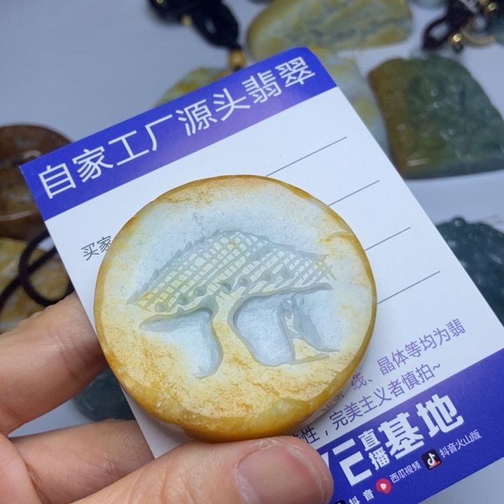 翡翠颈饰未镶嵌翡翠