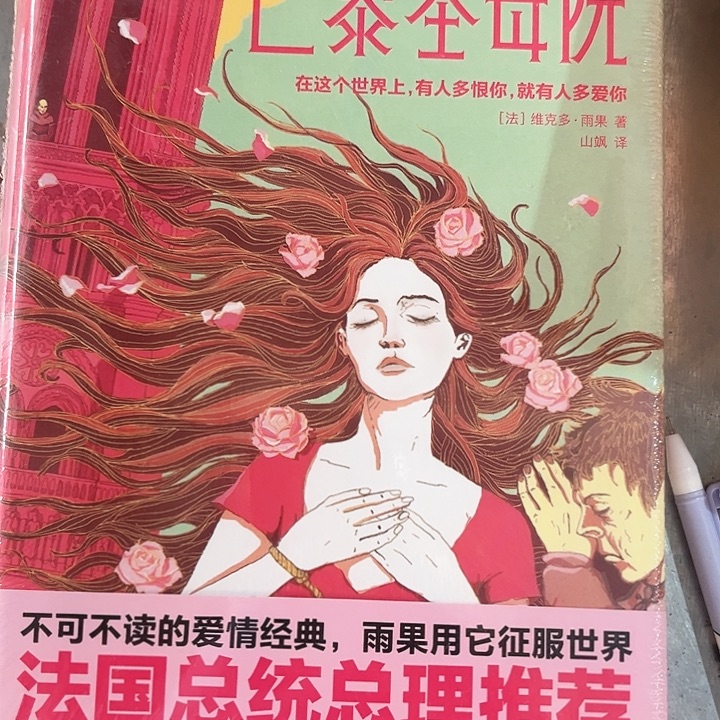 巴黎圣母院全新精装