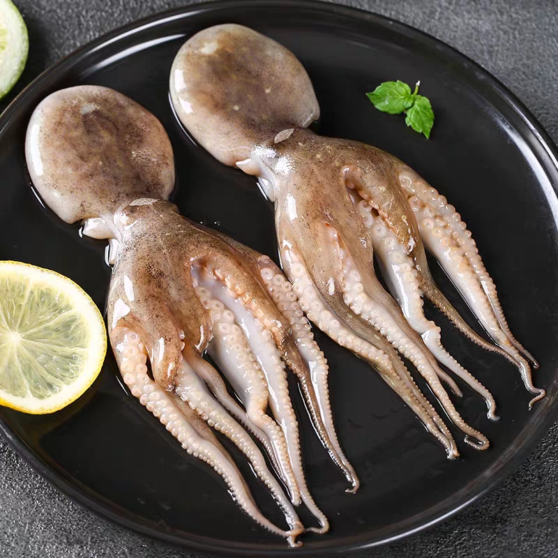 深海短腿八爪鱼新鲜现冻（口感脆嫩，冷冻锁鲜） 4斤顺丰包邮