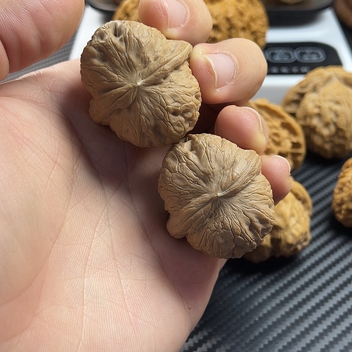 文玩核桃把件37全品元宝