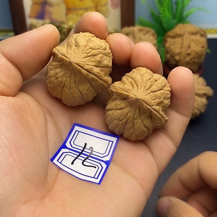 文玩核桃把件31龟甲纹