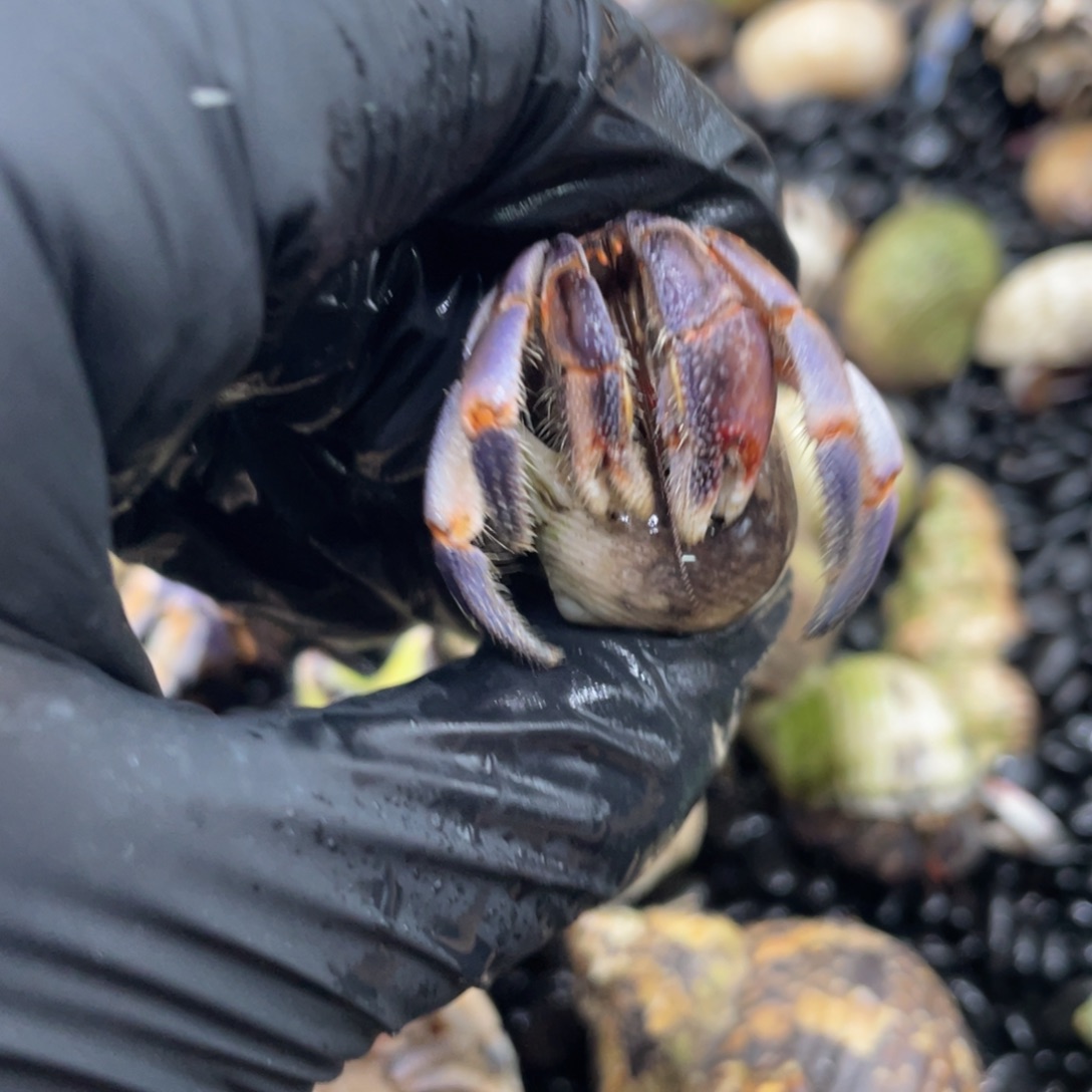 莹***猫呀呀呀呀呀呀呀呀呀