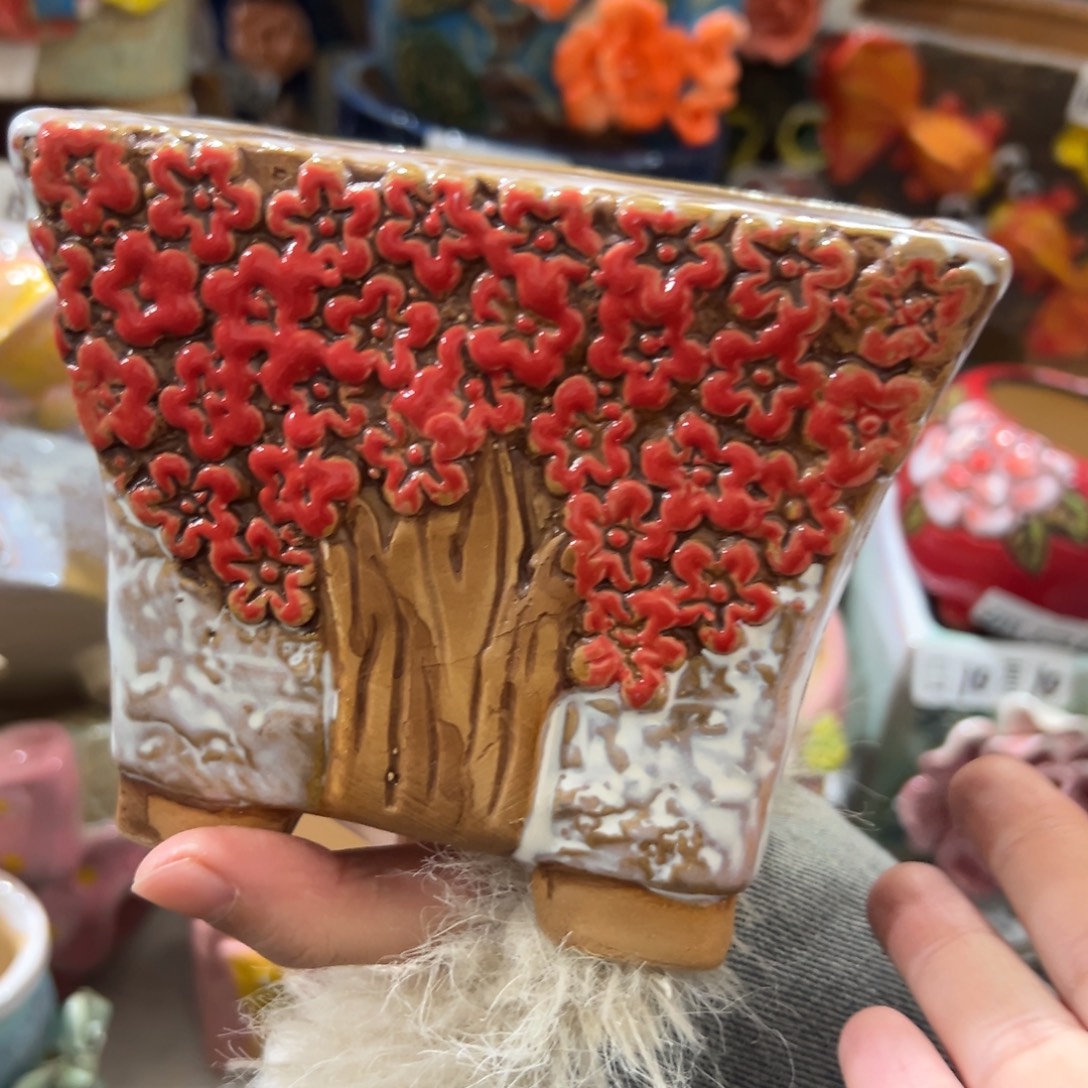 满20米秒退拉黑花盆