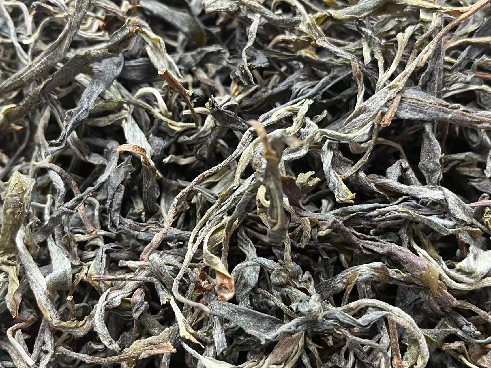 2025年冰岛老寨大树春茶普洱生茶散茶