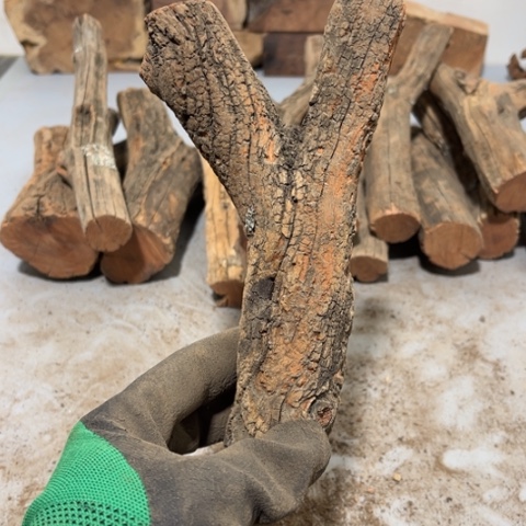 大果紫檀（缅甸花梨）?****⁸