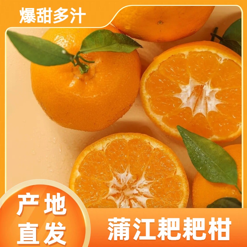 【精选品质】四川蒲江春见耙耙柑新鲜采摘香甜爆汁细腻化渣