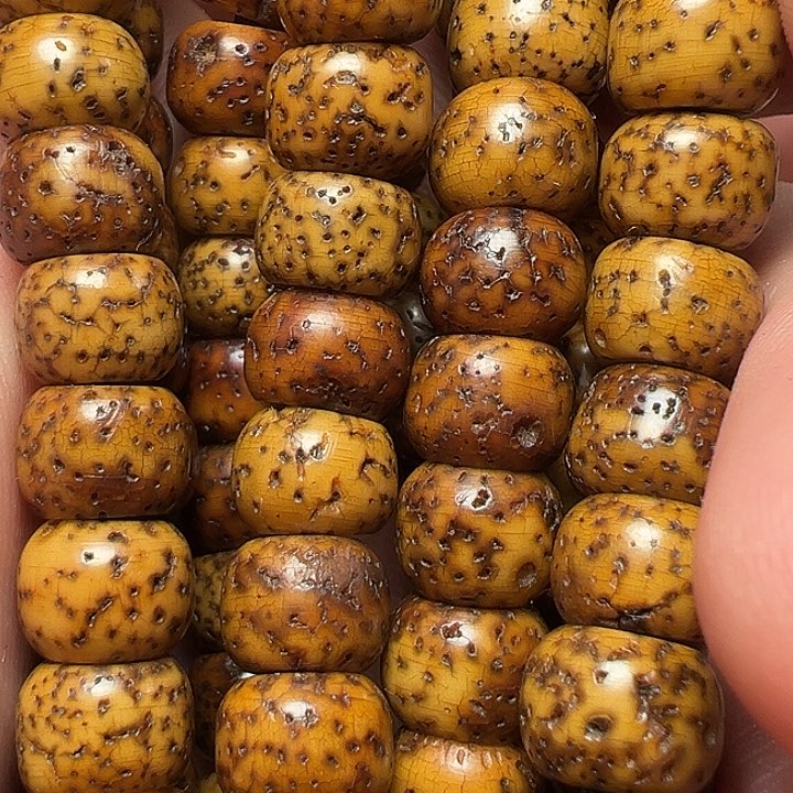 我们都是在这里看到的哈我们