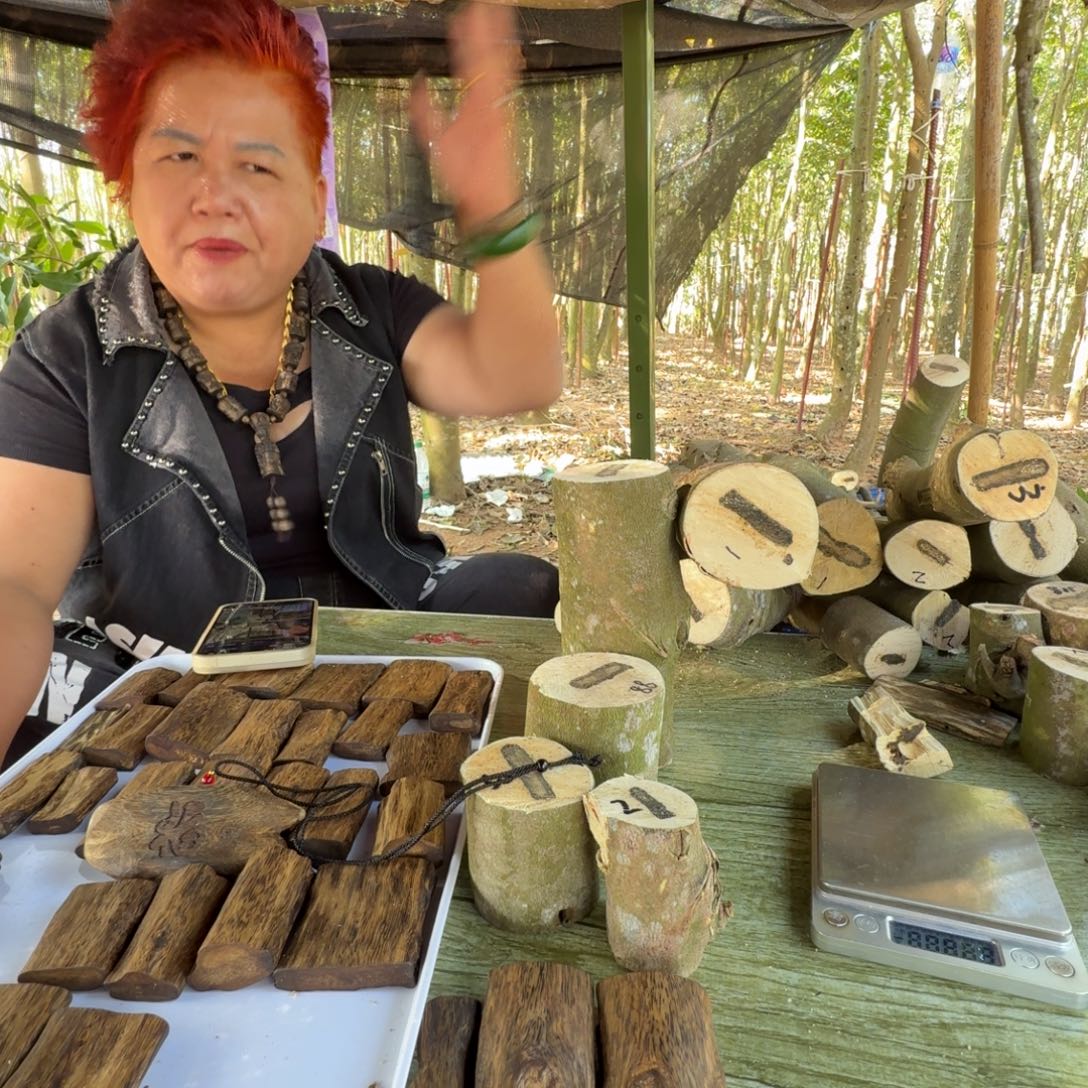 游***生线香沉香奇楠原木