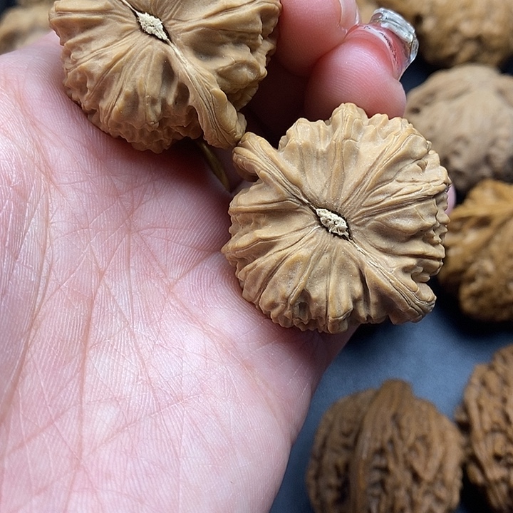  ***p龙脊菩提吊坠白师子40