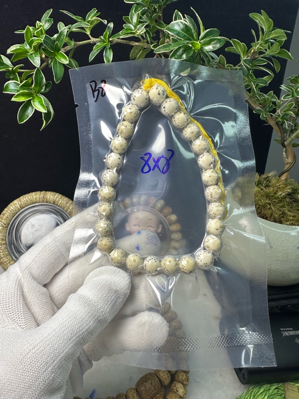 B8原白圆珠大留白星月菩提