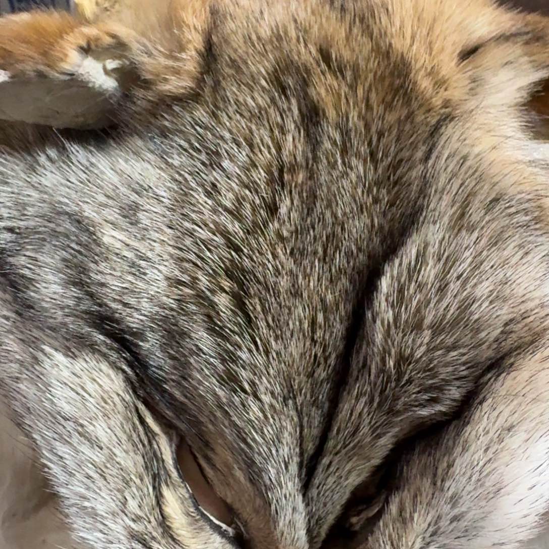 砖雕哈哈哈哈哈哈哈哈哈哈哈哈