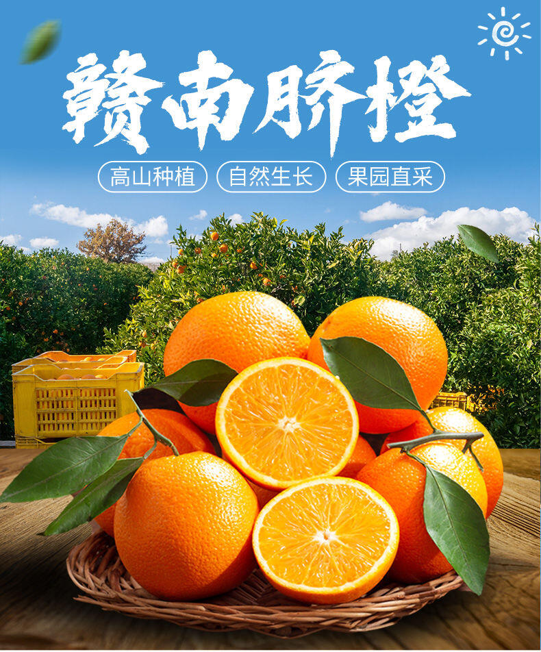 正宗赣南脐橙自家果园皮薄香甜多汁原产地直发20斤包邮（送开橙器）
