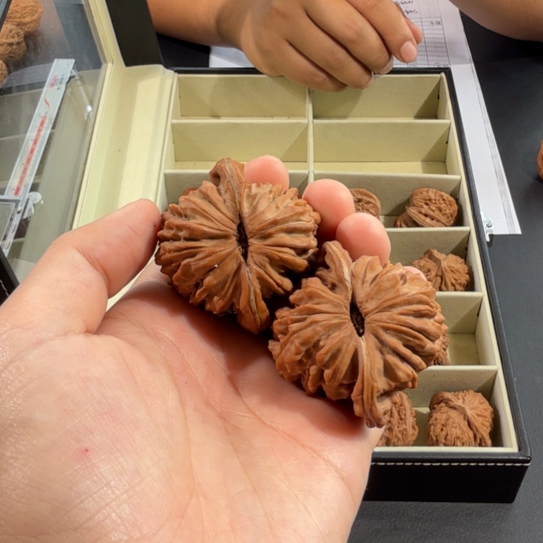 文玩核桃把件601号全品四座楼40-43mm