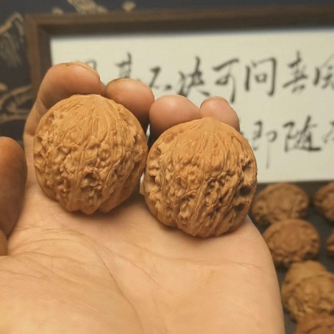 山地果绣球全尺寸精品文玩核桃