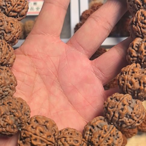 于***君金刚菩提把件原生态的大金刚手持，25左右尺寸，精挑细选