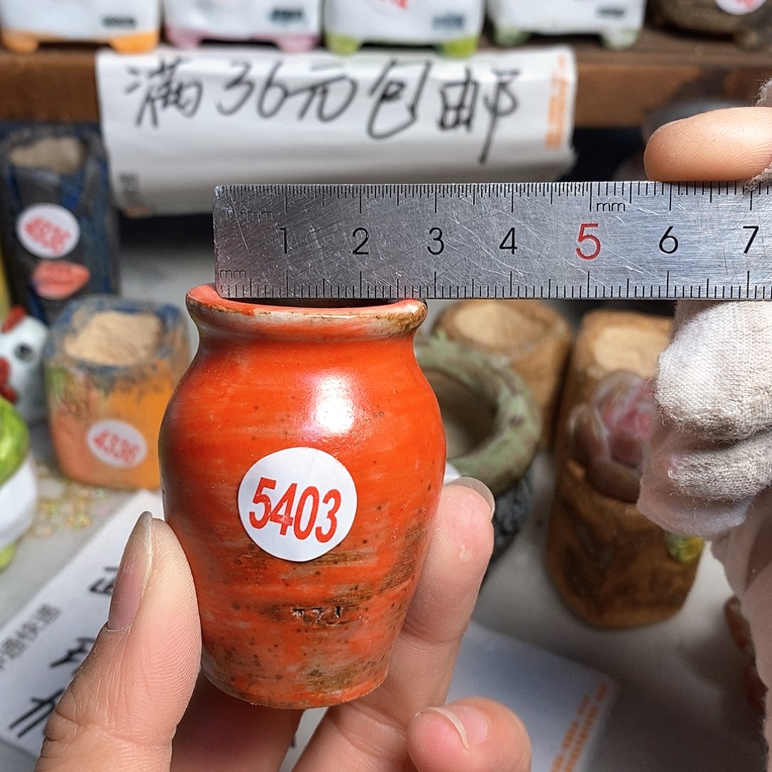 红陶拍5送一个小