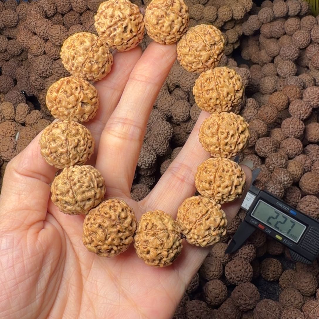 金刚菩提手串8瓣卡21尺，60号