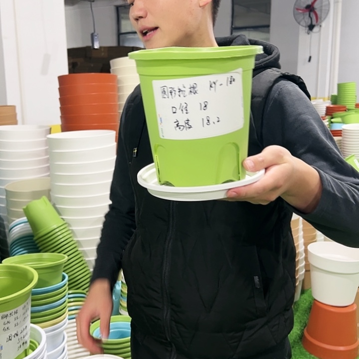 正品圆控口18高18果绿色8支带托