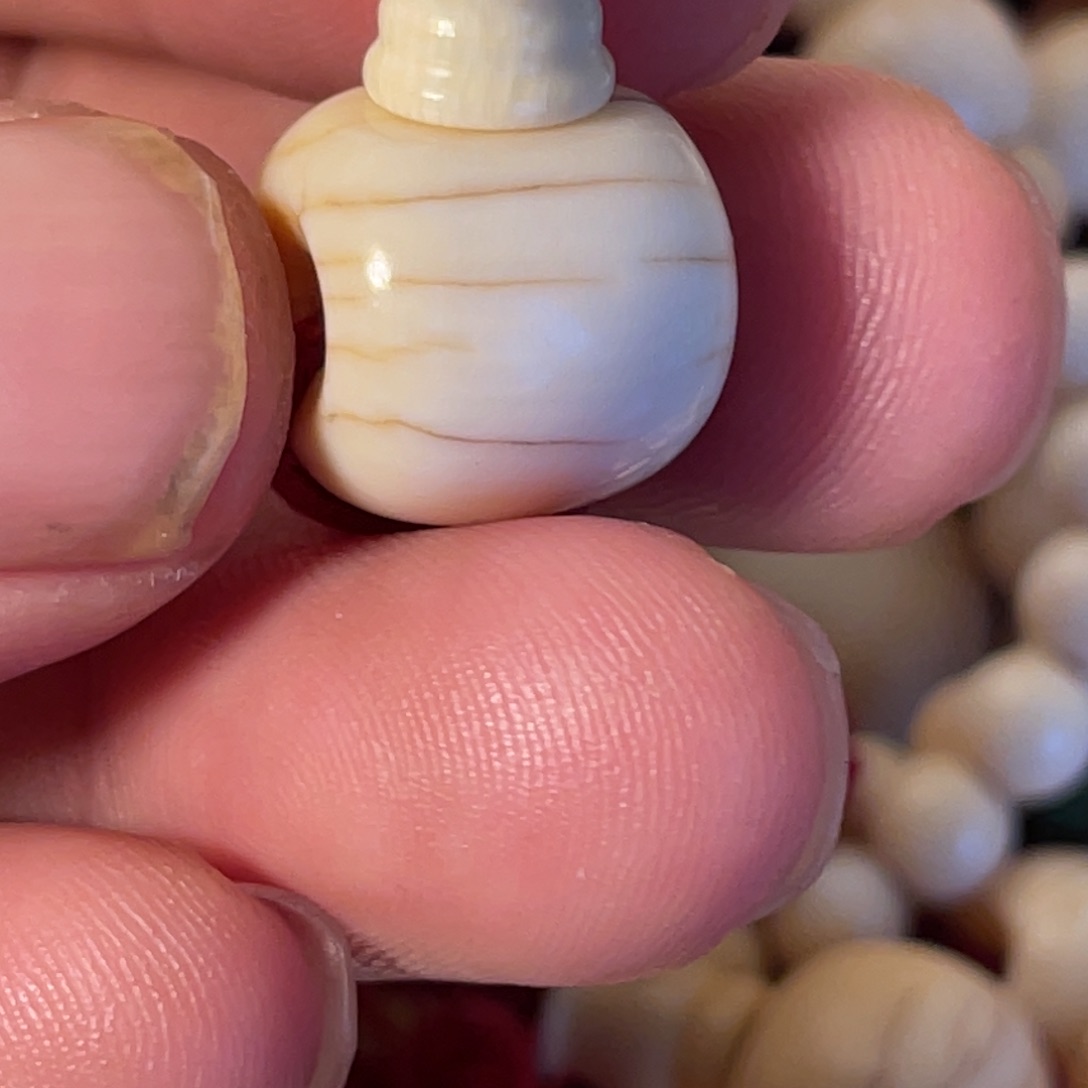 下次v爸爸看看看看舅舅舅舅家