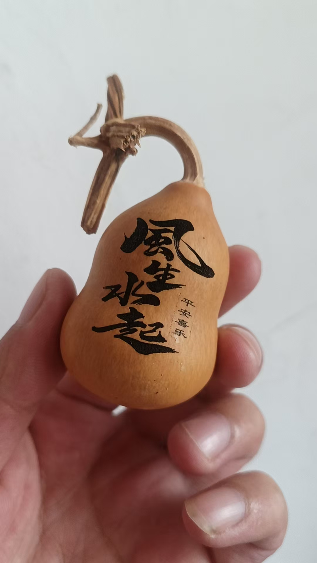 精品葫芦一个点关注哦