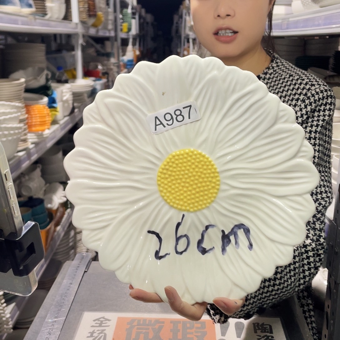 瓷片987                2个