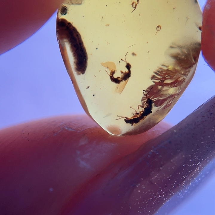 琥珀裸石未镶嵌？