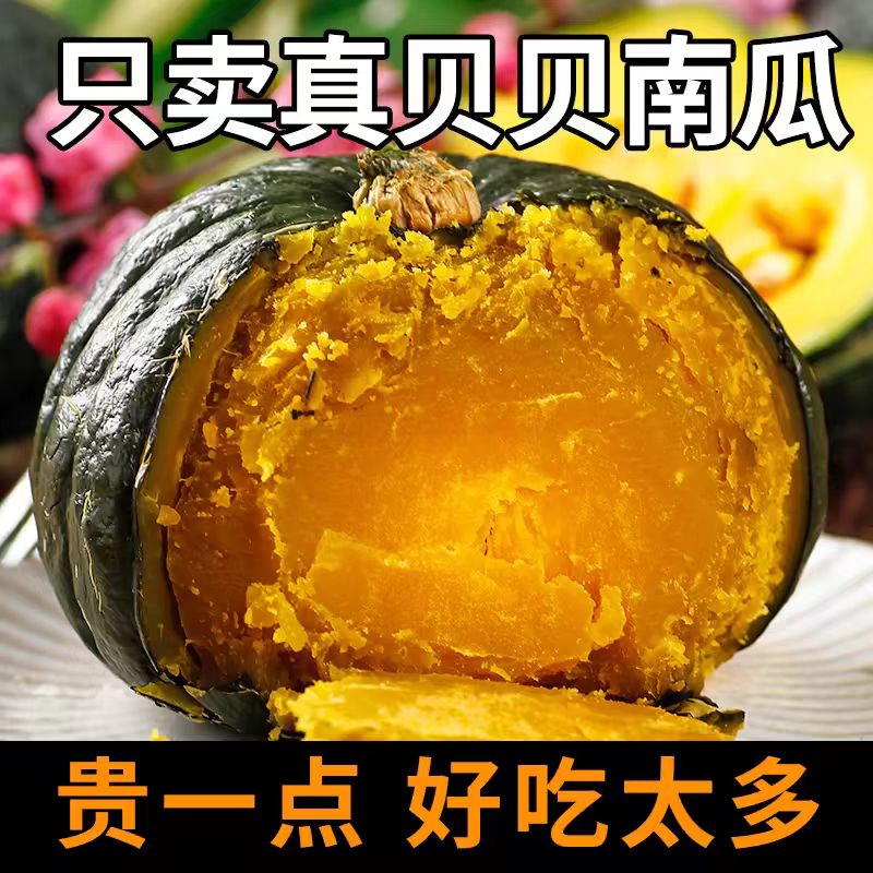 新鲜真贝贝南瓜板栗正宗小南瓜迷你南瓜糯粉香甜