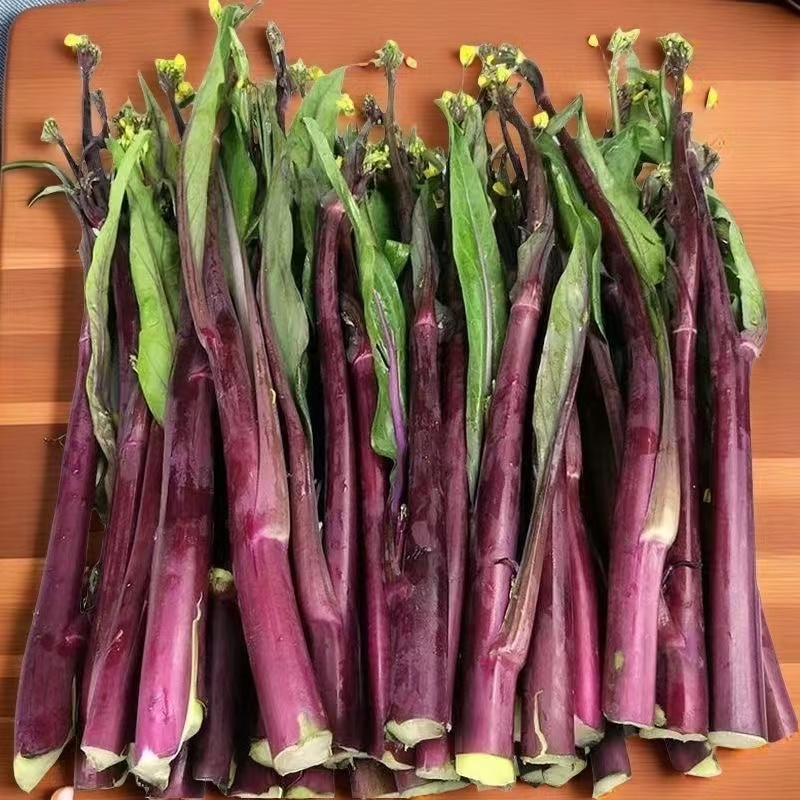 【双旦福利】湖北农家自种露天红菜苔现摘新鲜红皮绿肉时令蔬菜