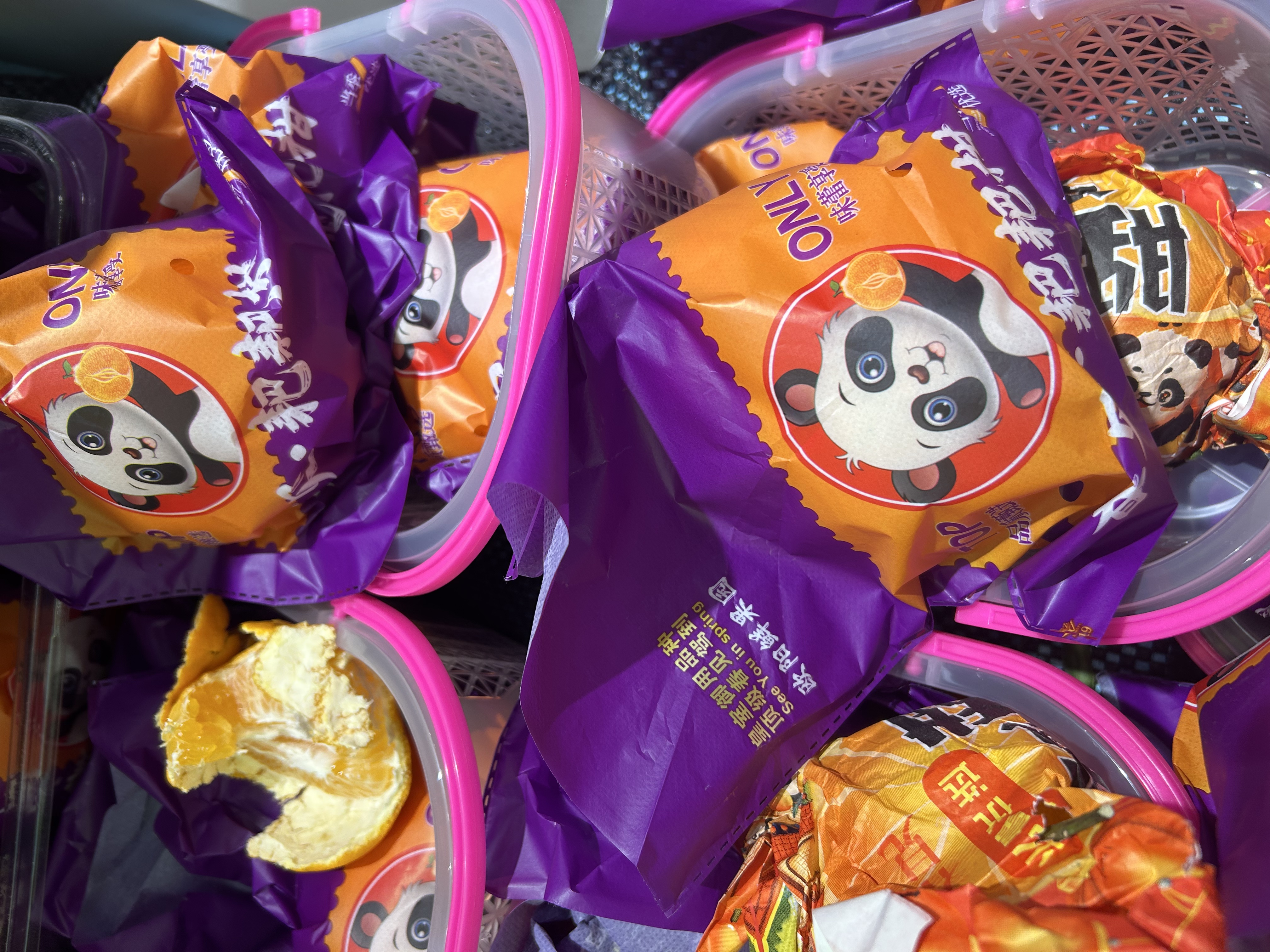 春见耙耙柑 750g/2颗 