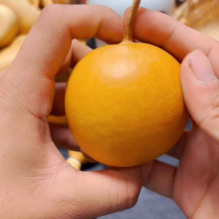 一*888888888888888888