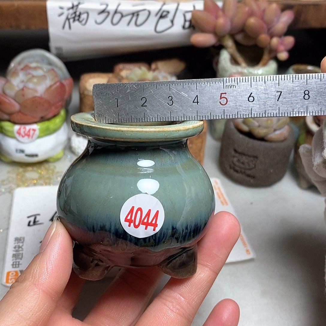 红陶拍5送一个小