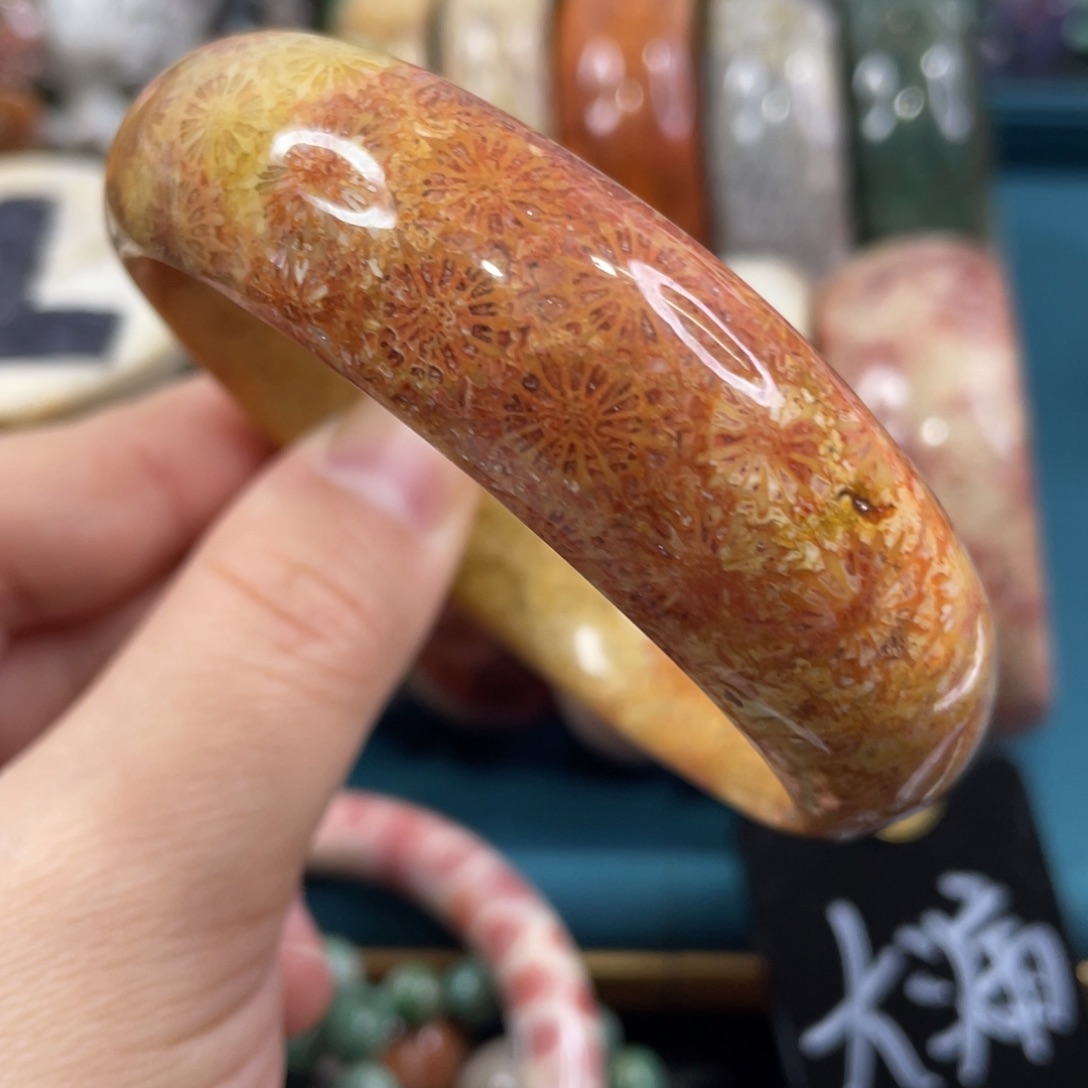 未镶嵌手镯硅化玉