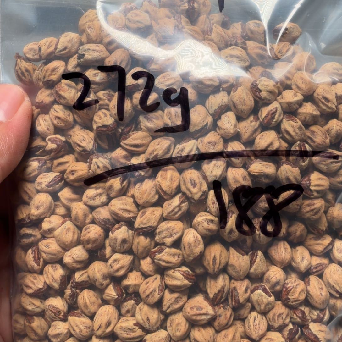 吊坠柏香籽/百香籽l***n