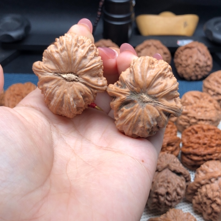 文玩核桃把件38尺寸白狮子