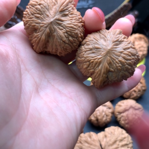 文玩核桃吊坠泥鳅