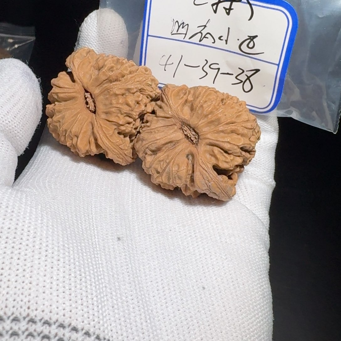 文玩核桃把件35号村将有黄