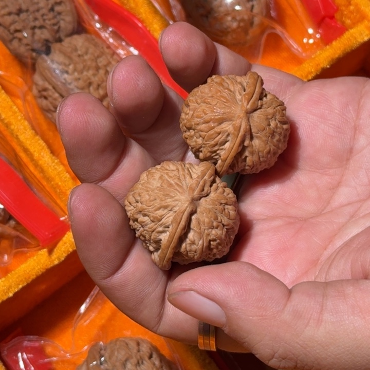 把件文玩核桃540号全品白狮子30-33mm