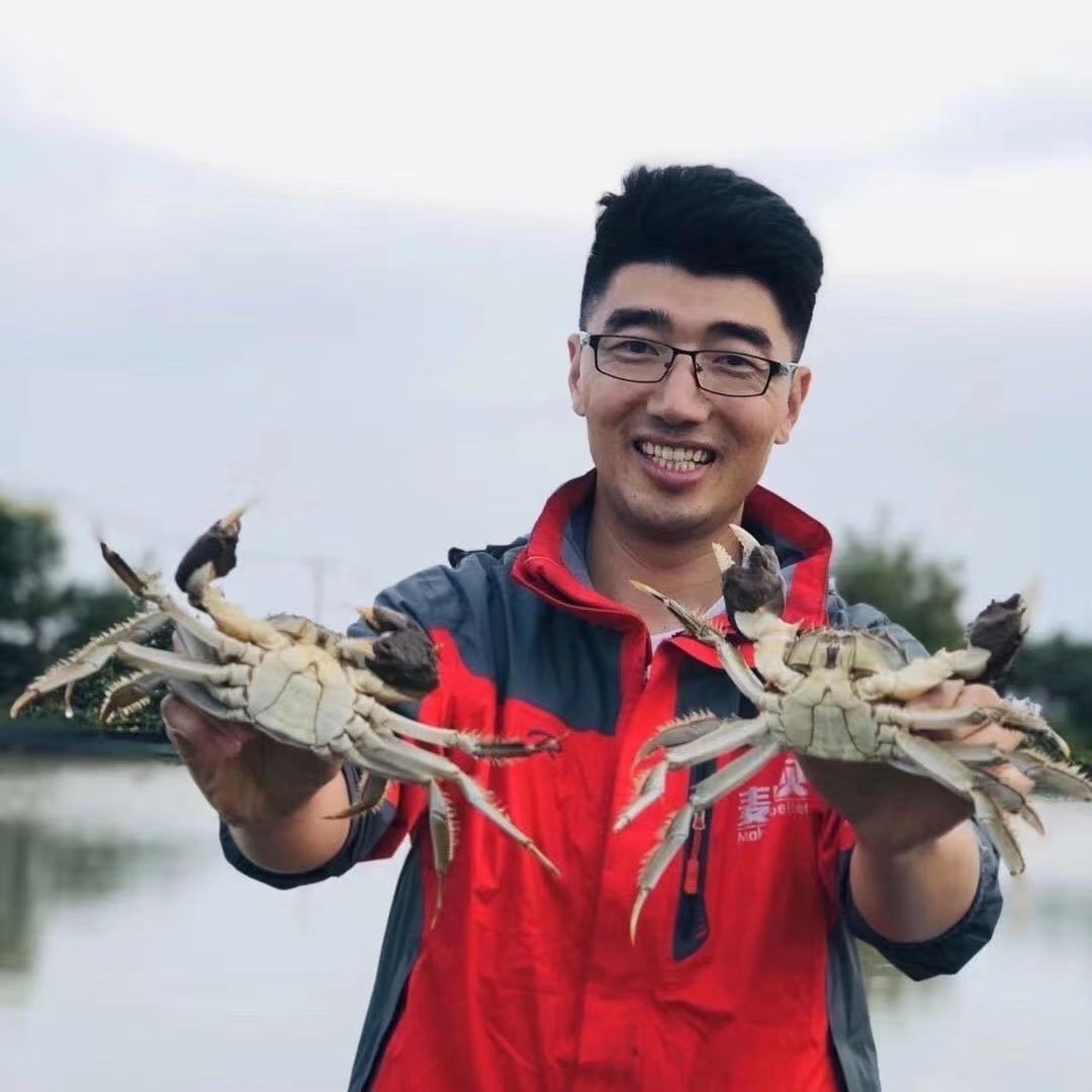 【活蟹】洪泽湖精品大闸蟹全母2.0-2.2两 10只