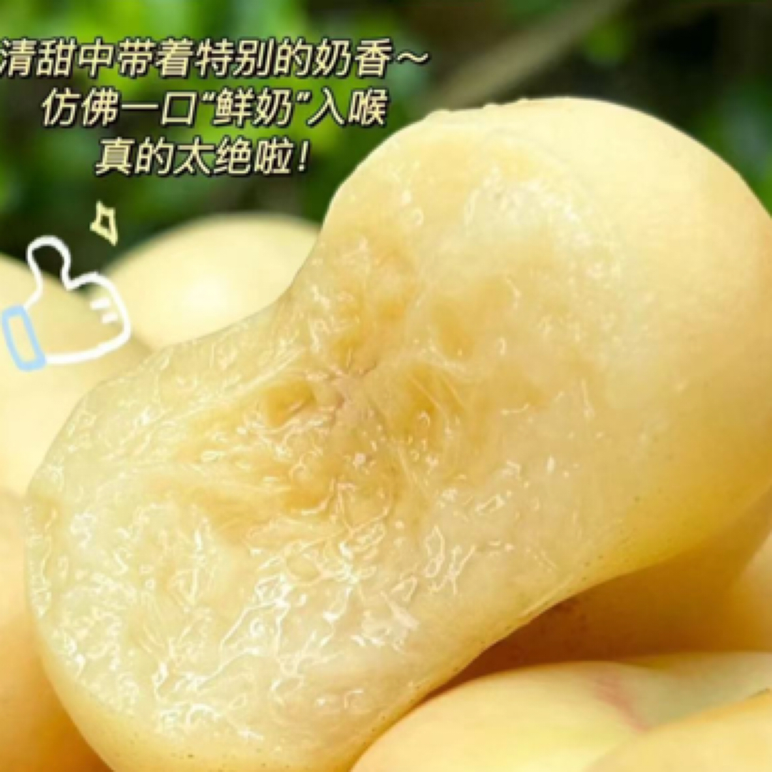 奶油蟠桃白蟠桃3斤装新鲜水果当季整箱蒙阴蜜桃应季桃子油桃扁潘桃白玉当季新鲜水果桃子山东省