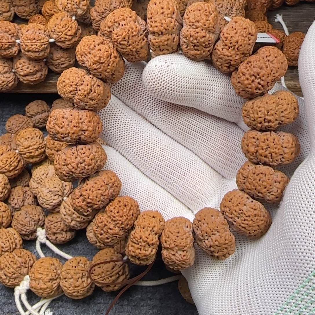 菩提金刚菩提23夹板菠萝蜜