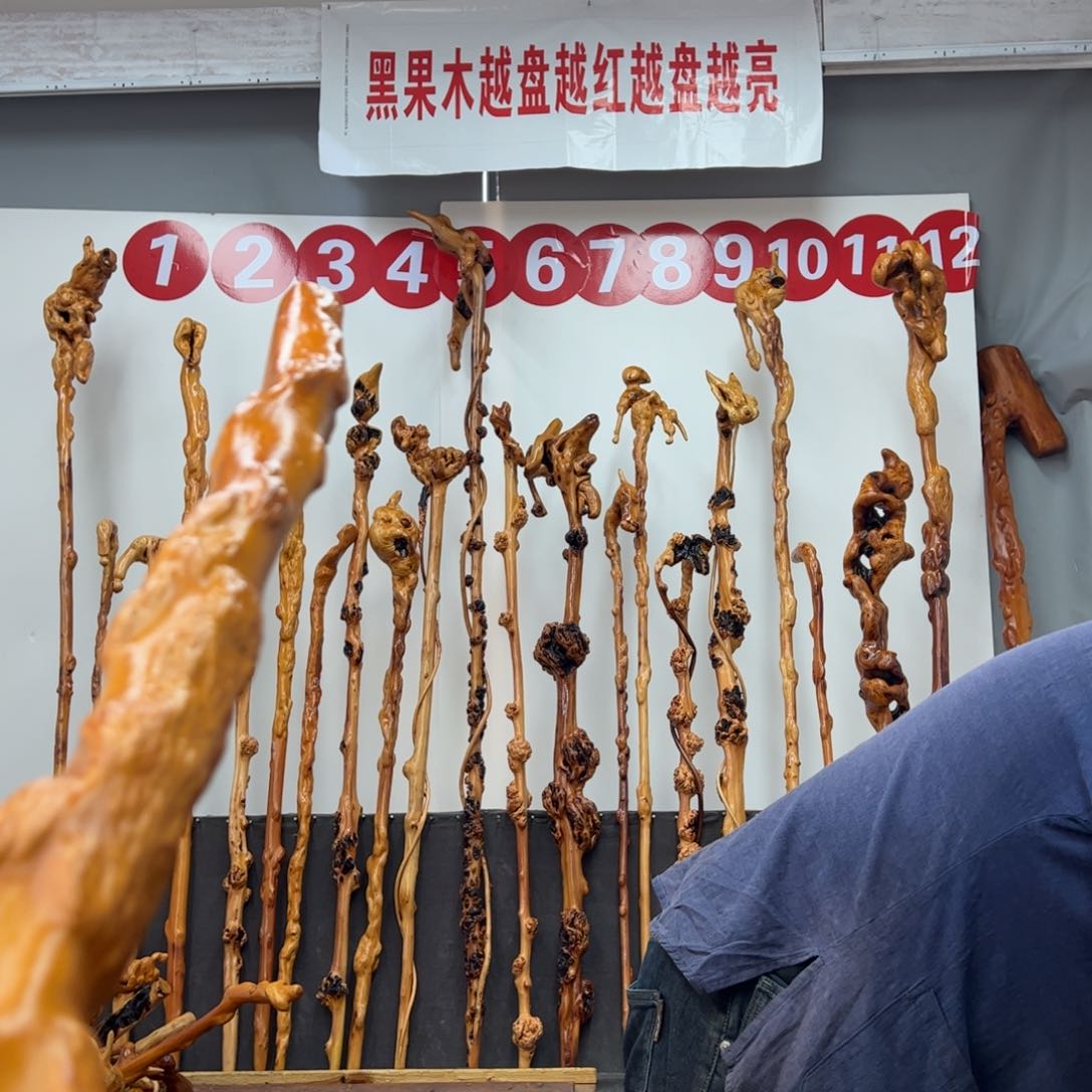 黑果木其他黑果木561