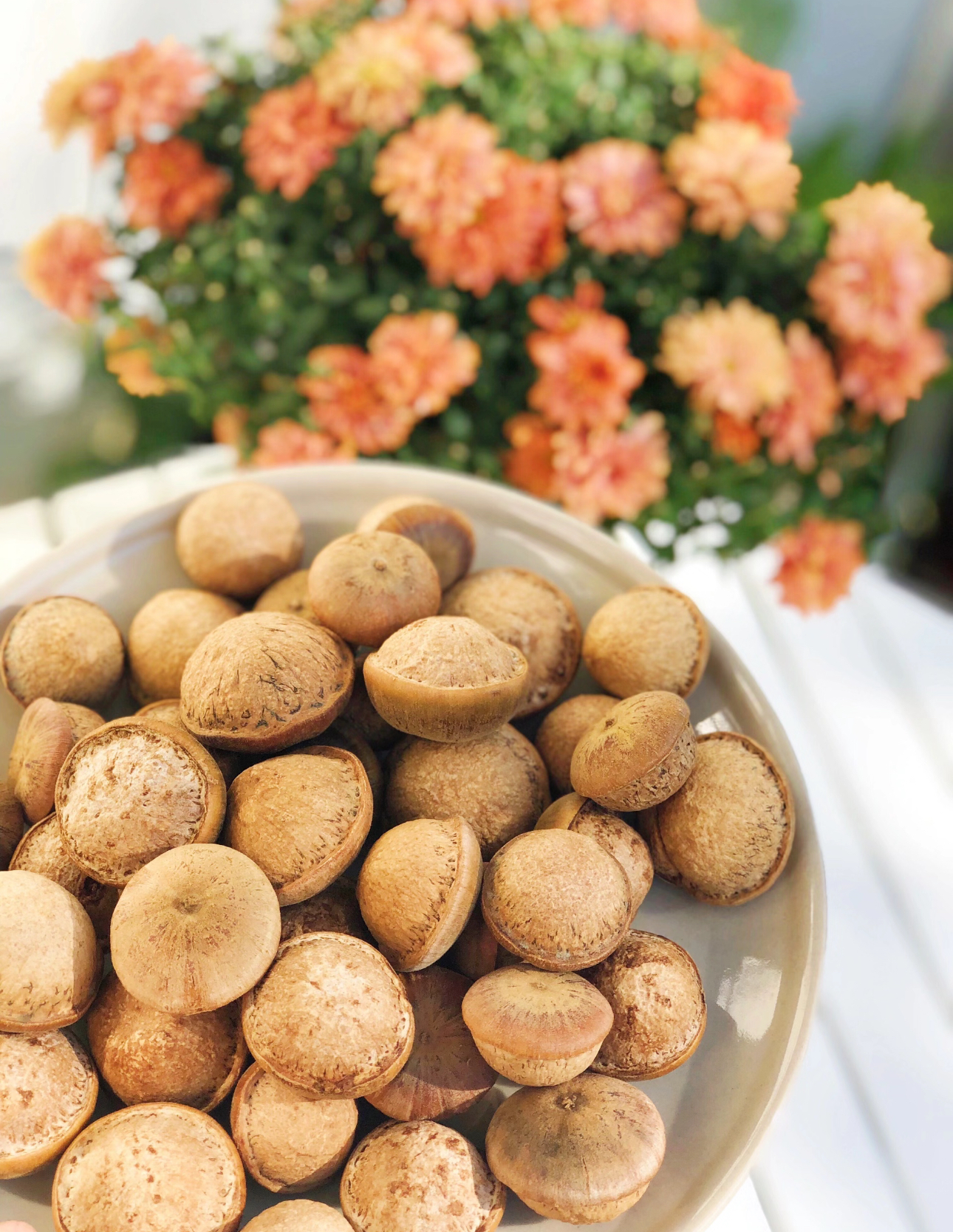 精选高山【金鳞果 】珍藏可泡水糖糖专属