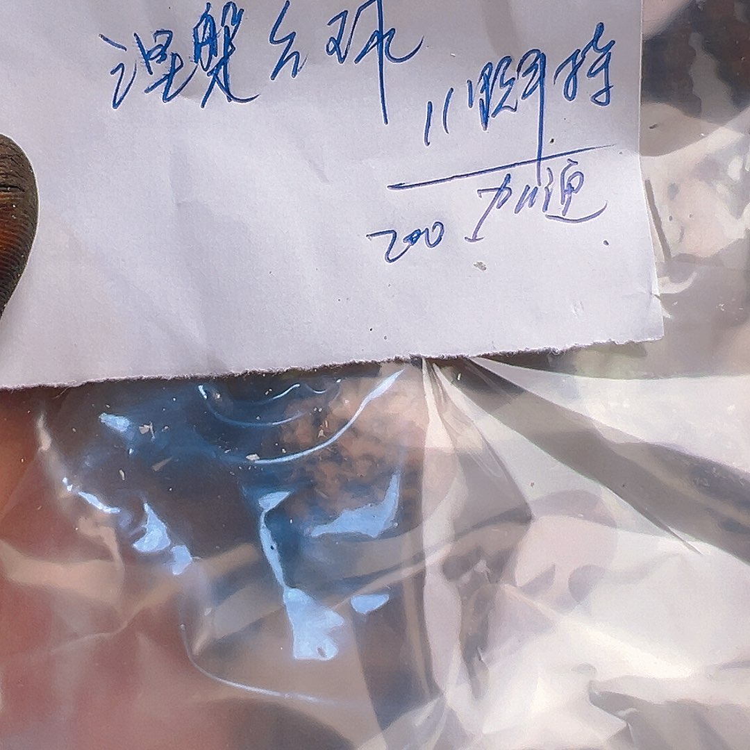 猴头核桃吊坠涅****）金蟾20➕左右