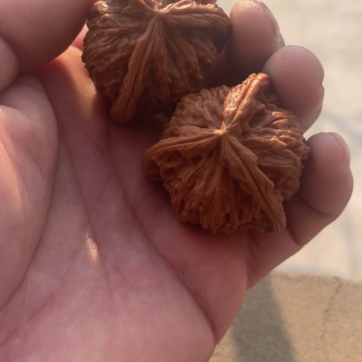 文玩核桃吊坠三棱三棱三棱三棱三棱