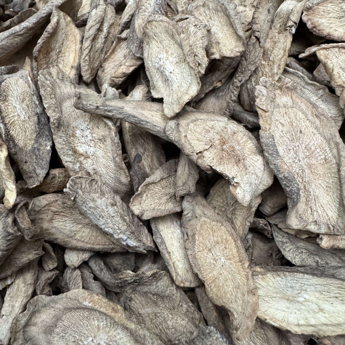 现收农家牛旁蒡根