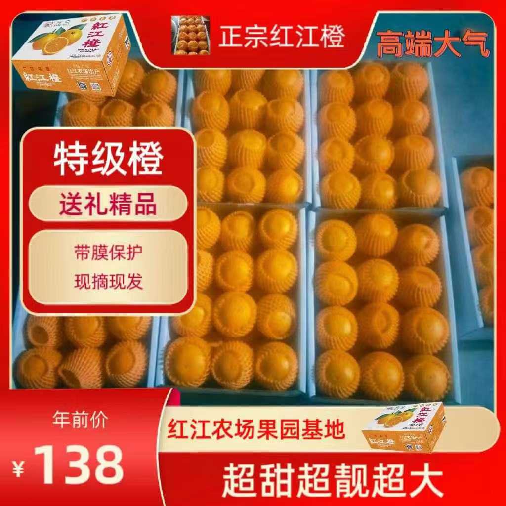 广东省正宗廉江红橙红江橙当季鲜鲜水果10斤特级带保护膜礼盒装