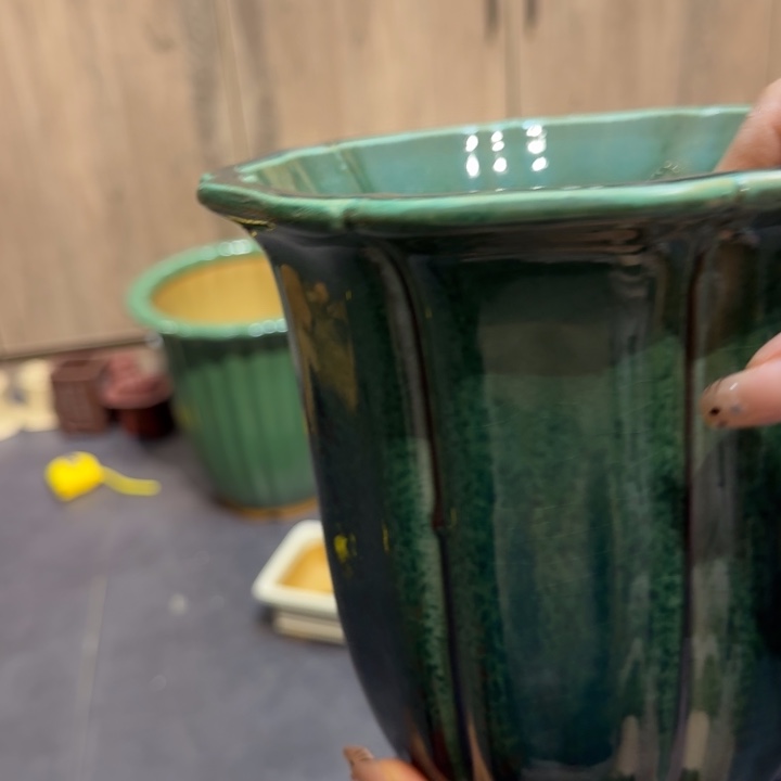 云***河花盆紫砂福利来了