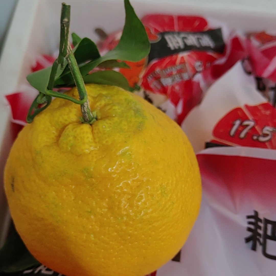 【精品】四川耙耙柑6斤99元，礼盒装四川省
