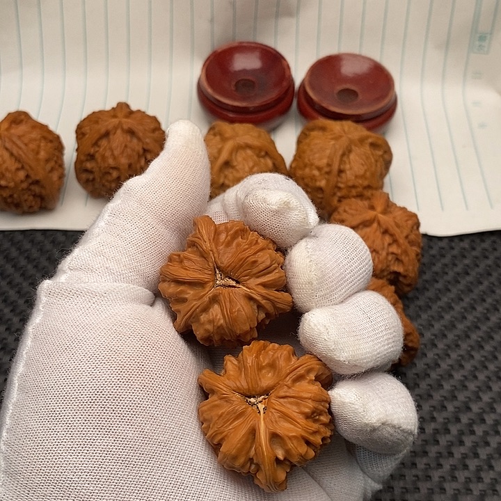 核桃手串/手链拼接白狮子9