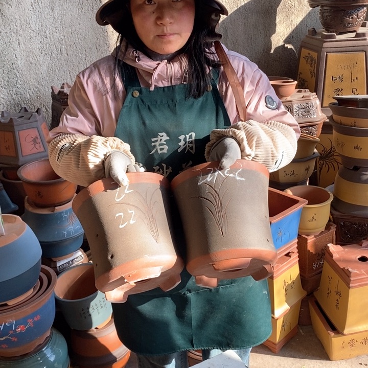 紫砂花盆盆栽花卉苗木种植